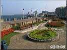 Prominade Gardens