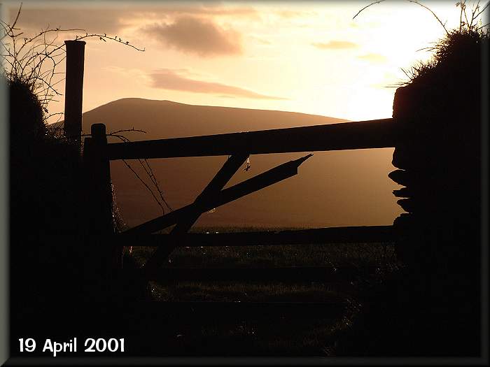 Evening Gate